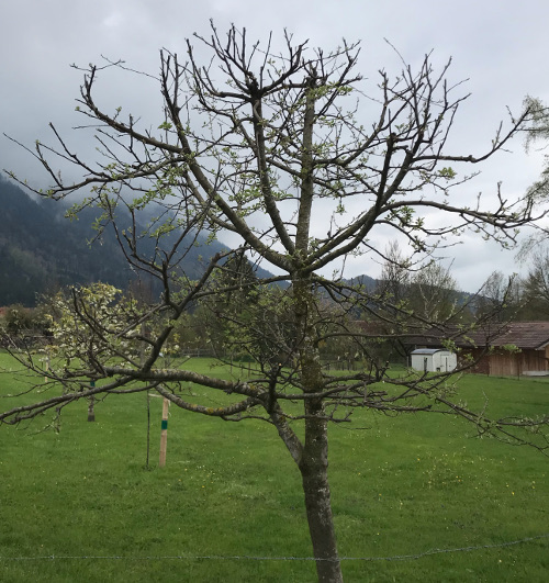 Bild Schnittfehler 1